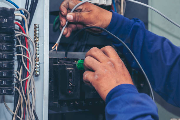 Best Electrical System Inspection  in Isle Of Palms, SC