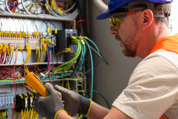 Best Electric Panel Repair  in Isle Of Palms, SC